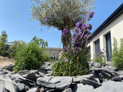 Réalisation de massifs de fleurs - plantation arbustes