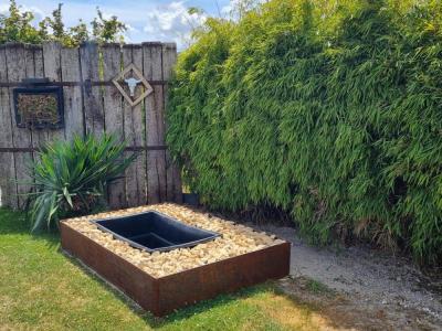 Aménagement de jardin bac à poisson