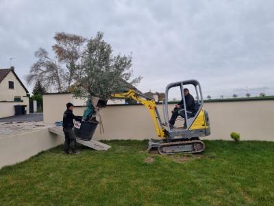 Artisan du vert - Réalisation de massifs de fleurs - plantation arbustes